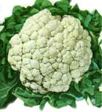 Cauliflower